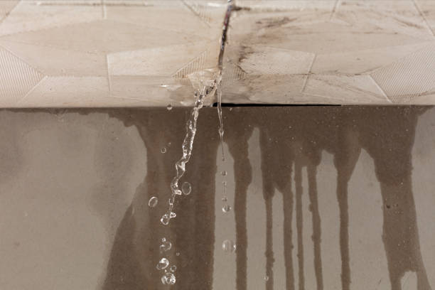 Professional Water Damage Repair technician working in Ringgold, TX